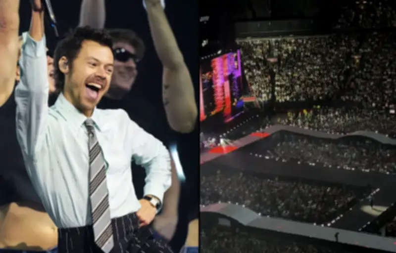 Tournée d'Harry Styles : déception des fans sur le prix et la visibilité