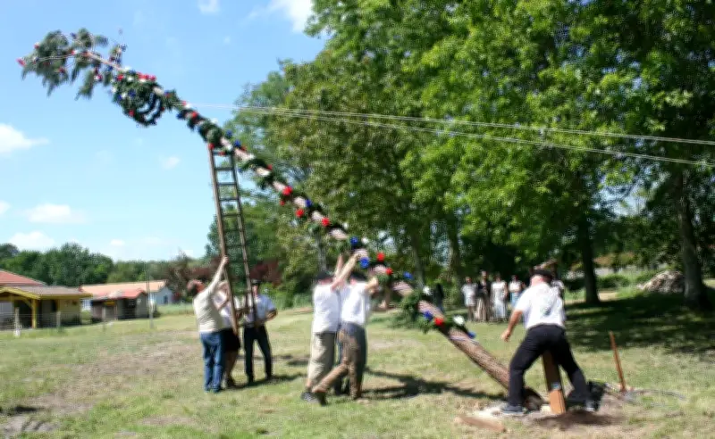 Tradition de la maïade ressuscitée pour fêter la réélection du maire à Roaillan