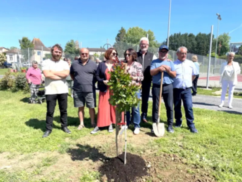 Tradition de la maïade : un lilas des Indes planté par les élus