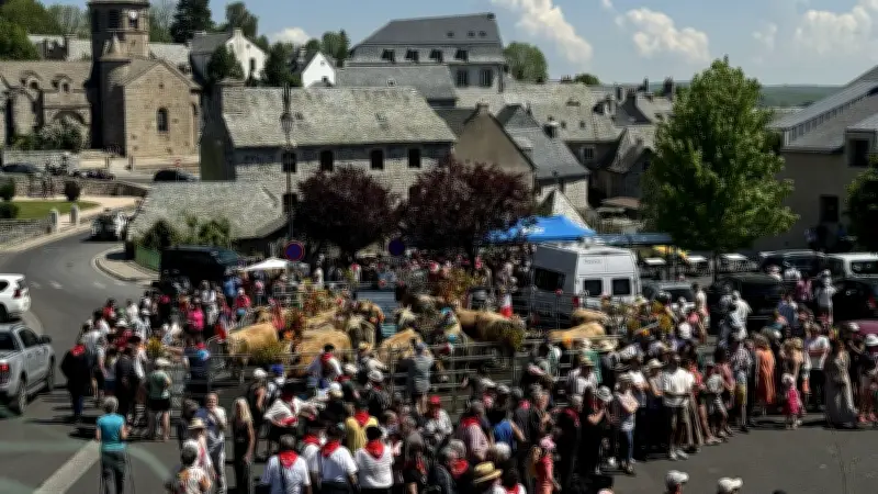Transhumance à Nasbinals : un événement traditionnel très suivi