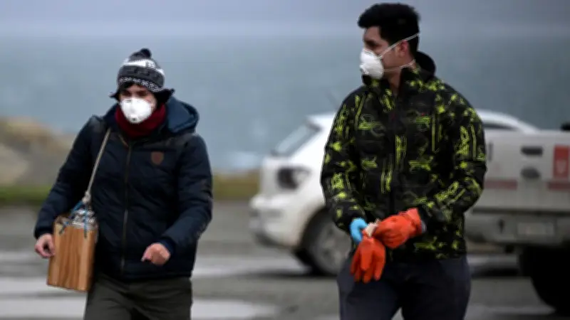 Traque de l'hantavirus en Terre de Feu : des scientifiques à Ushuaïa
