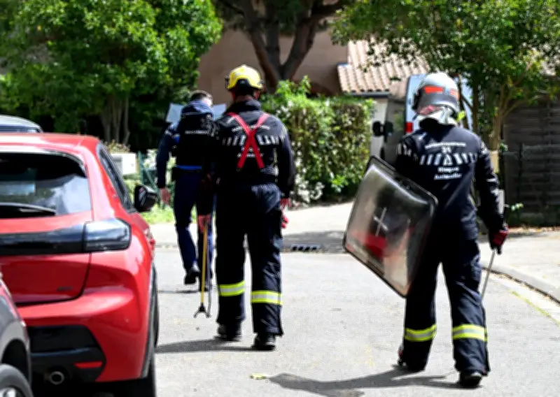 Traque du cobra à Castelginest : une peur contagieuse mais raisonnable