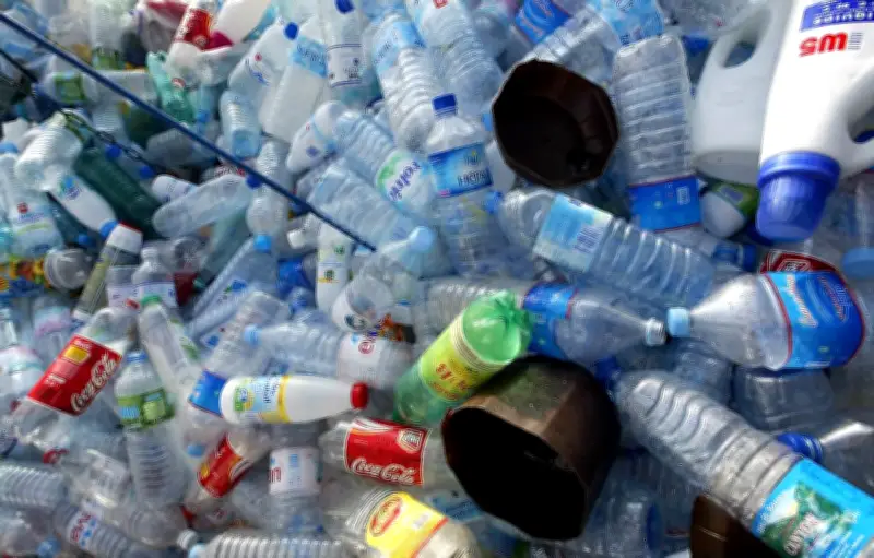 Tri des déchets : les défis cachés de l'industrie du recyclage en France
