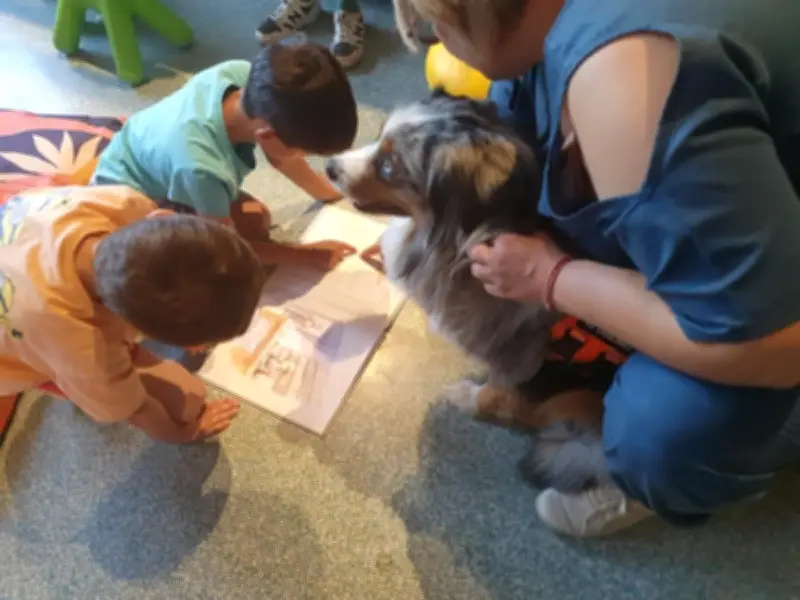 Un chien médiateur aide les enfants à lire à la bibliothèque de Serres-Castet