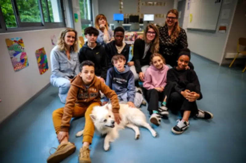 Un chien pédagogique aide des élèves en difficulté dans le Lot-et-Garonne