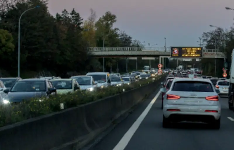 Un homme jugé pour avoir jeté deux chiens depuis un pont à Toulouse