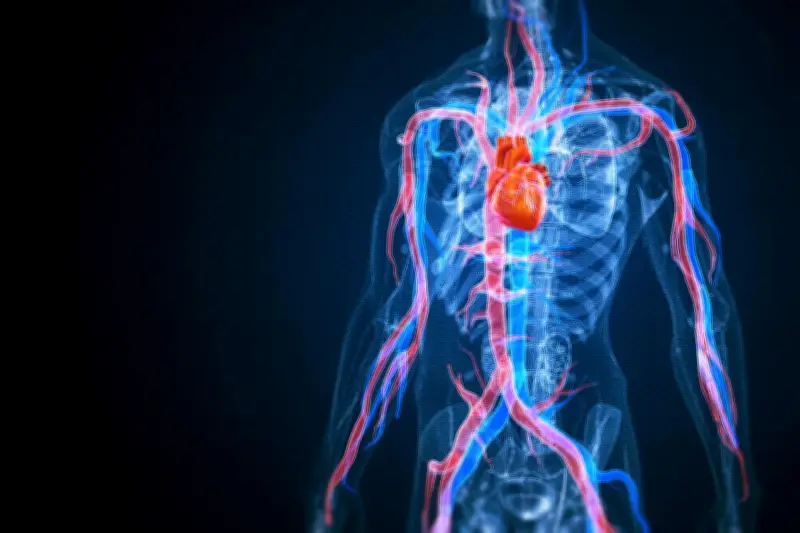 Un mécanisme clé pour des bioprothèses cardiaques plus durables