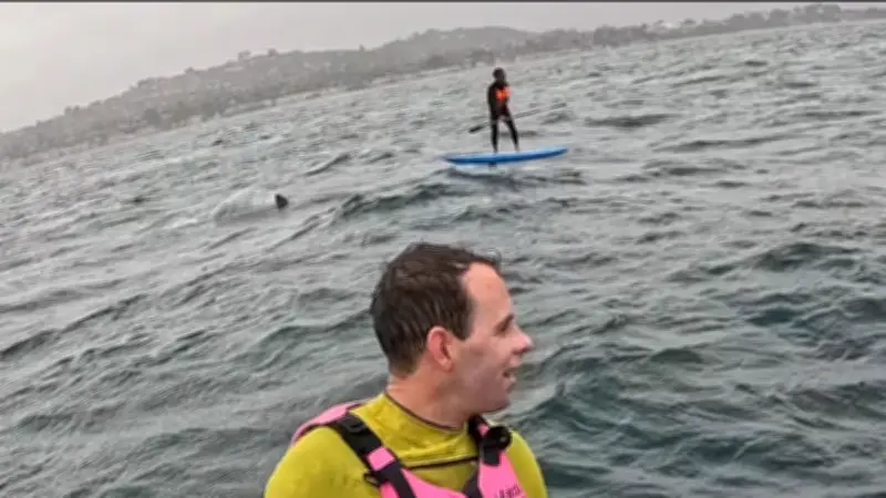 Un requin de 3 mètres poursuit un surfeur pendant plus d'un kilomètre en Californie