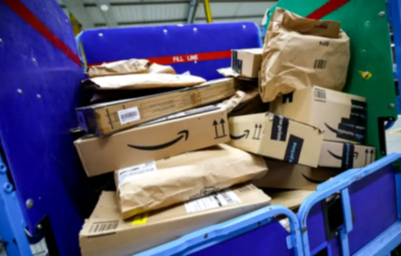Un serpent découvert dans un colis Amazon à Bioule