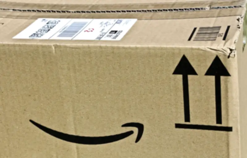 Un Tarn-et-Garonnais découvre un serpent dans son colis Amazon