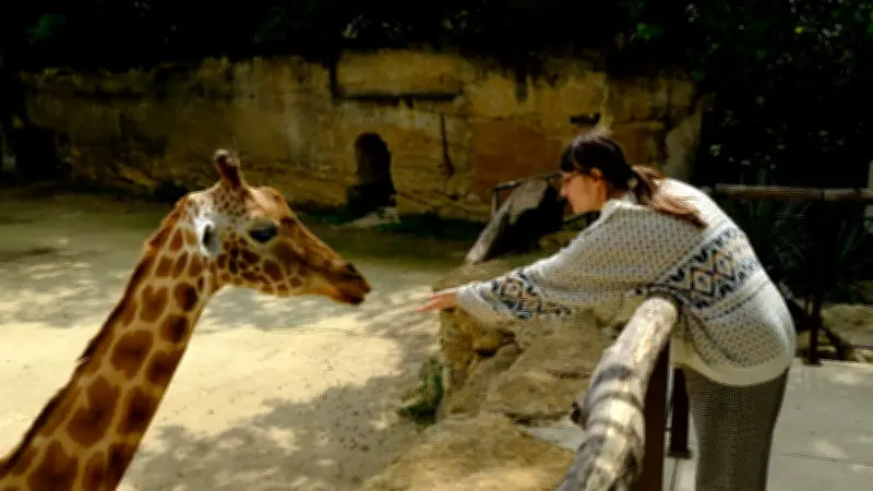 Un zoo français sacré deuxième zoo le plus éthique du monde par National Geographic