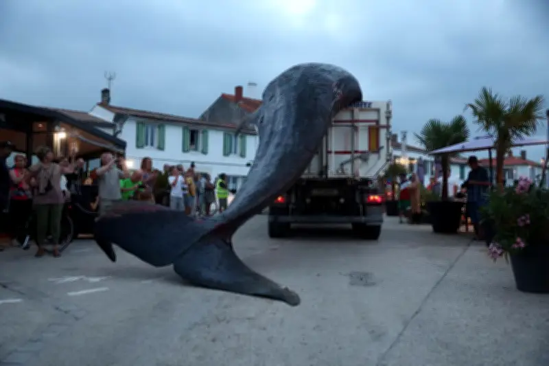Une baleine de 12 tonnes échouée sur l'île de Ré, un événement rare