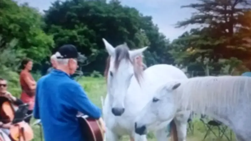 Une expérience musicale unique au milieu des chevaux à Vézénobres