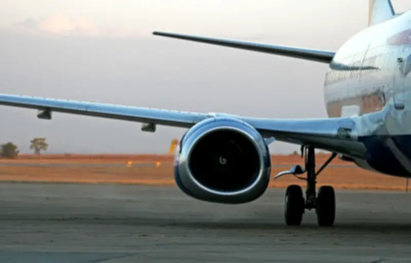 Une passagère fait revenir un avion à la porte d'embarquement