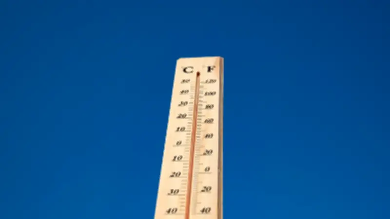 Vague de chaleur : records battus, experts qualifient ce jeudi d'OVNI météorologique