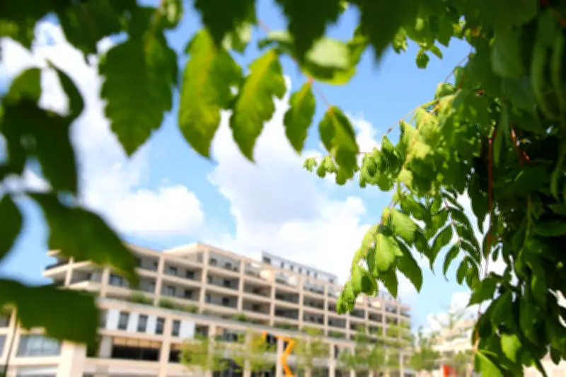 Vagues de chaleur : le refroidissement passif hybride pour adapter les villes