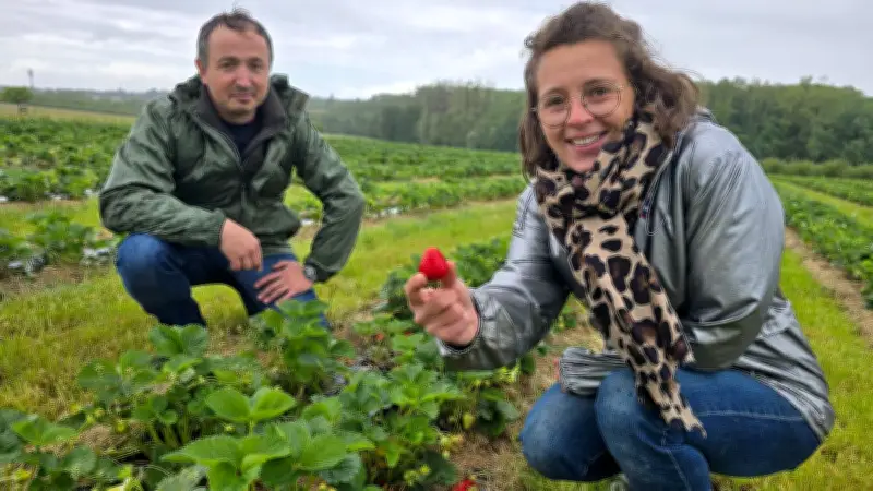 Val-de-Marne : la cueillette de Champlain rouvre enfin à La Queue-en-Brie