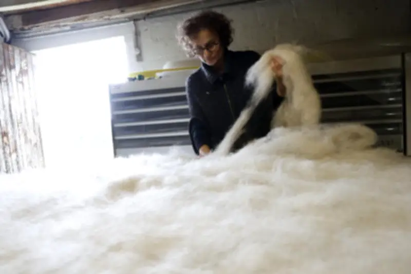 Valorisation de la laine : une filature artisanale en Dordogne