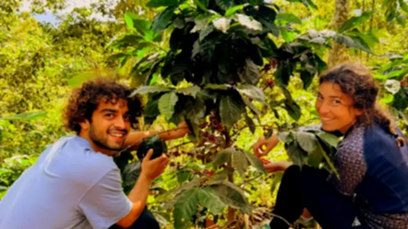Vaya : la torréfaction artisanale de café du terroir par Laura et Aly