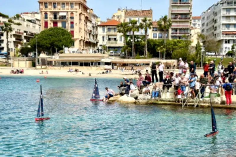Vent contraire pour les drones-voiliers IA à Toulon : une première mondiale mitigée