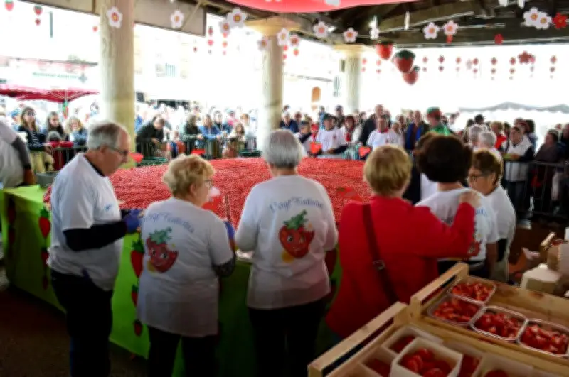 Vergt : 24e Fête de la fraise et des fleurs, une tarte géante à 26 quartiers