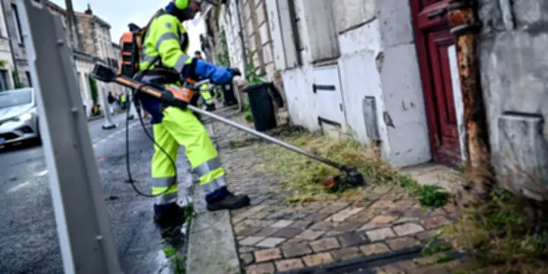 Végétation sauvage en ville : entre mauvaises herbes et refuge de biodiversité