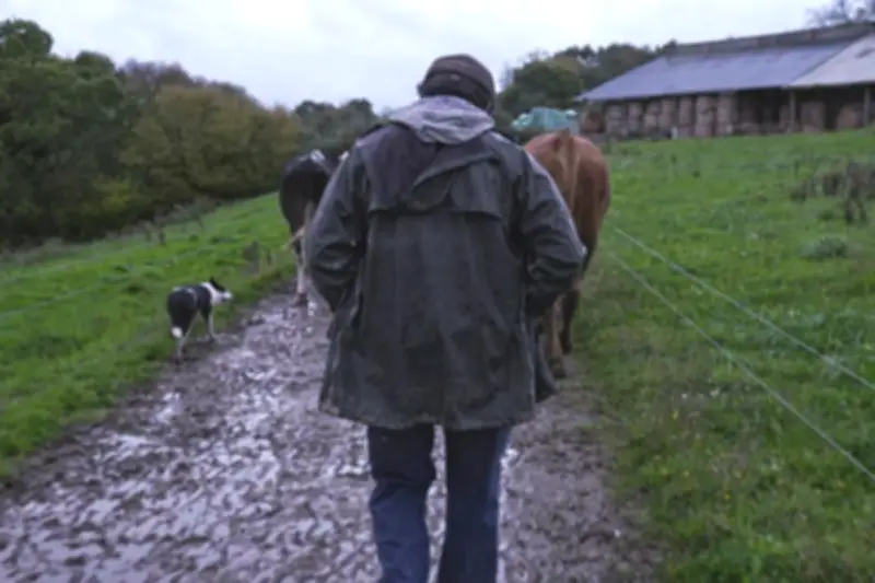 Violence dans les champs : enquête sur un système agricole qui broie le monde rural