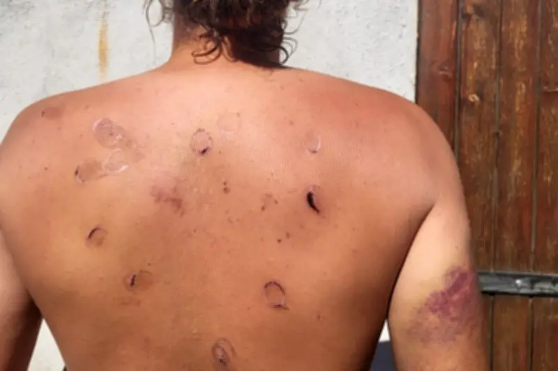 Violences et humiliations subies par des Français de la flottille pour Gaza en Israël