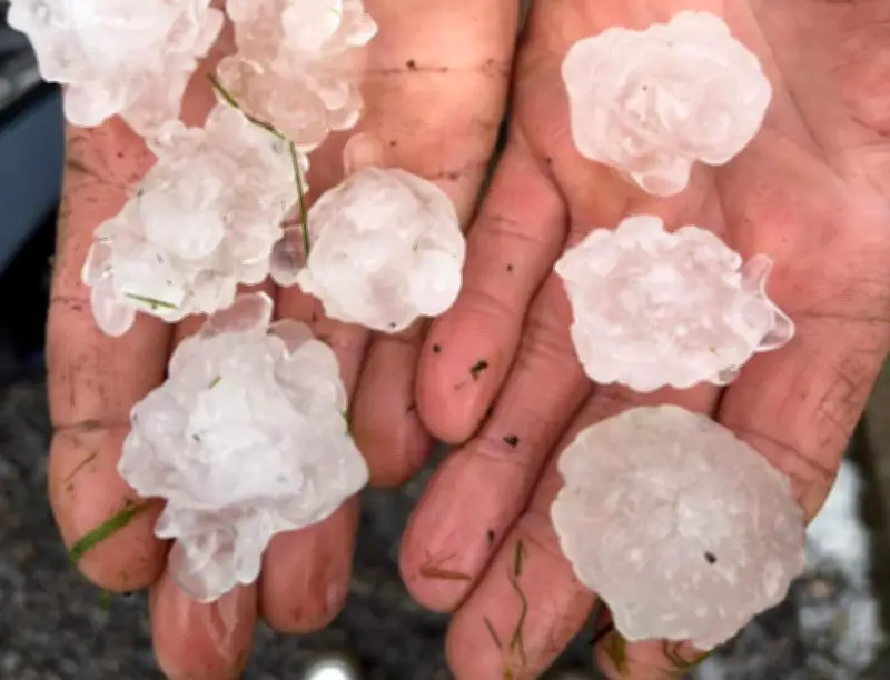 Violent orage de grêle dans le Béarn : des grêlons de 3 cm mesurés