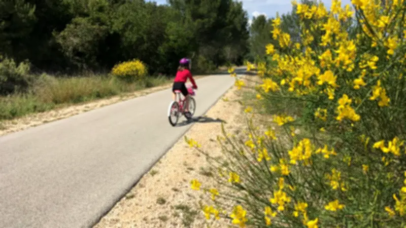 Vélo-bus : un transport écolo pour écoliers et habitants dans l'Uzège