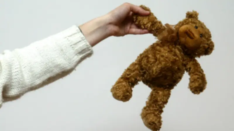Vol à Séville : appel pour retrouver la peluche d'un enfant décédé