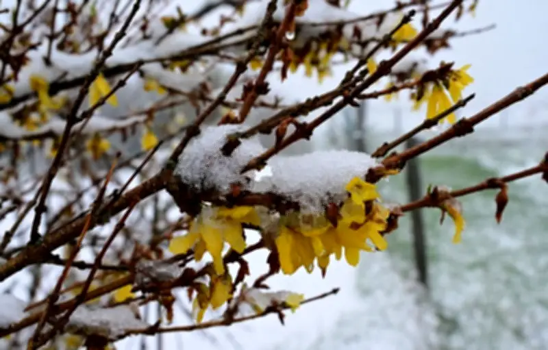 Week-end de l'Ascension : un temps anormalement froid et pluvieux
