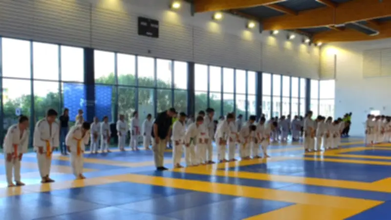 Week-end judo à Juvignac : champions et jeunes talents réunis