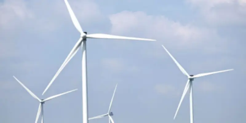 Xavier Bertrand maintient son soutien à une fédération anti-éoliennes malgré la justice