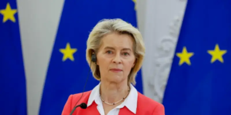 Zelensky et von der Leyen discutent du parcours d'adhésion de l'Ukraine à l'UE