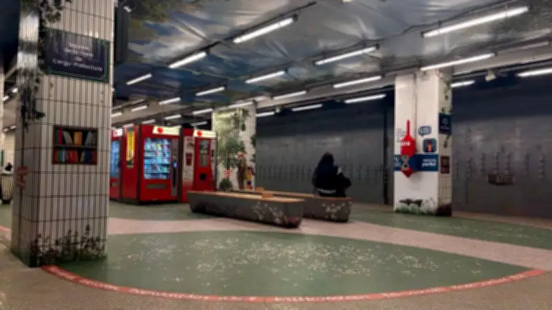 Zone d'attente partagée sur le RER A : une expérimentation pour la sécurité des femmes