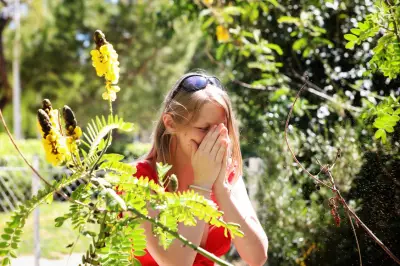 Allergies : pic de graminées attendu la semaine prochaine