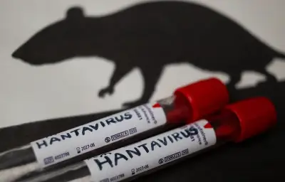 Applications trompeuses profitent de la peur du hantavirus