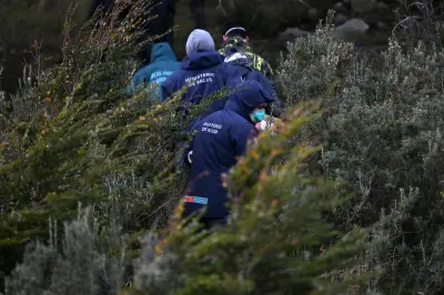 Argentine : 150 rongeurs capturés à Ushuaïa après le foyer d'hantavirus