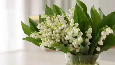 Attention au muguet : toxique pour vos animaux de compagnie