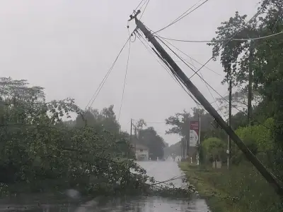 Bilan léger après les orages dans le Sud-Ouest, 90 mm à Labouheyre