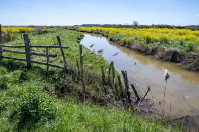 Biodiversité : la France en retard sur ses objectifs de protection