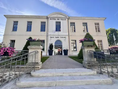 Blason de Tonneins sur Facebook : la mairie précise qu'il n'a rien coûté