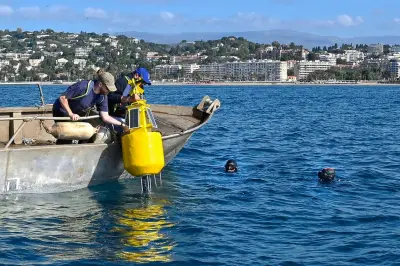Bouée connectée : un outil IA pour anticiper la santé de la baie de Cannes