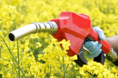 Bras de fer commercial entre l'UE et l'Indonésie sur les biocarburants