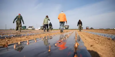 Bretagne : saisonniers refusent mauvaises conditions de travail