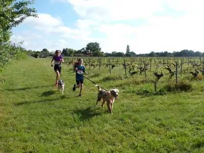 Canicross de Gaillan-en-Médoc : une cinquantaine de participants au rendez-vous printanier