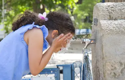 Canicule historique : 17 départements en alerte orange, des records de chaleur battus