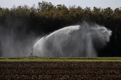 Charente-Maritime : alerte vigilance pour l'irrigation agricole dans le nord