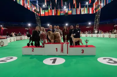 Chow-chow Notorious Star Bach remporte l'Exposition canine de Monaco 2026